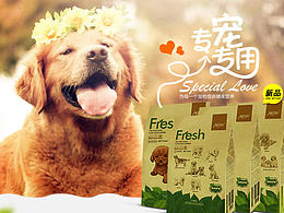 大老虎介绍的宠物简约网页