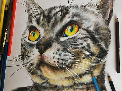 D_HY彩铅画《董布点》