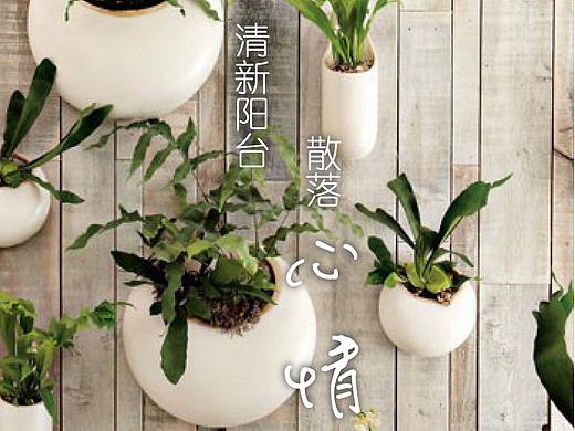 美思居引导页动画