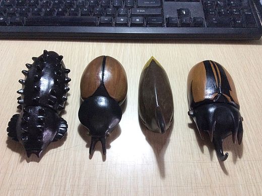 昆虫鼠标