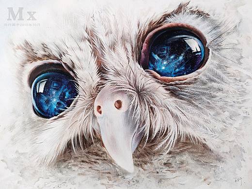 手绘，彩铅萌大眼猫头鹰