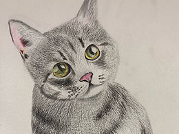 彩铅小猫练习