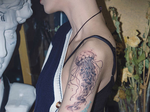 若你是水母,我便是那条被捕获的鱼