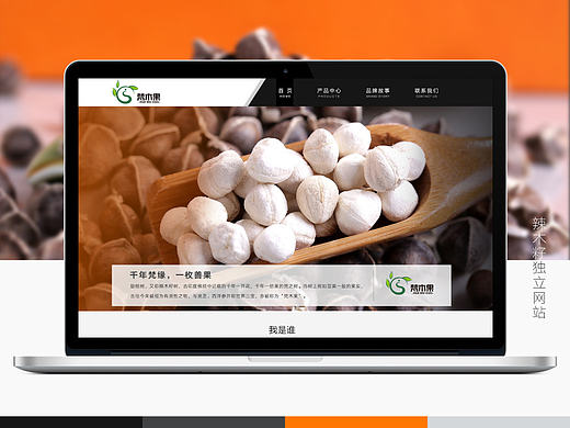 辣木籽独立网站