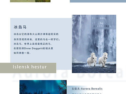 旅行网页设计