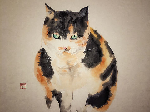 喵喵喵2