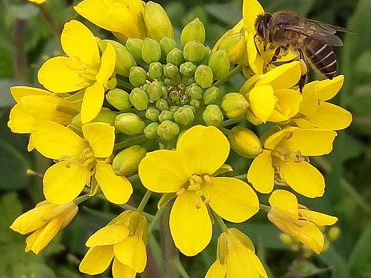 《捕光记贰拾捌》