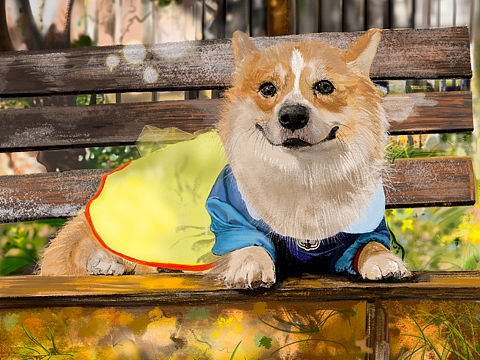 (welsh corgi pembroke )手绘