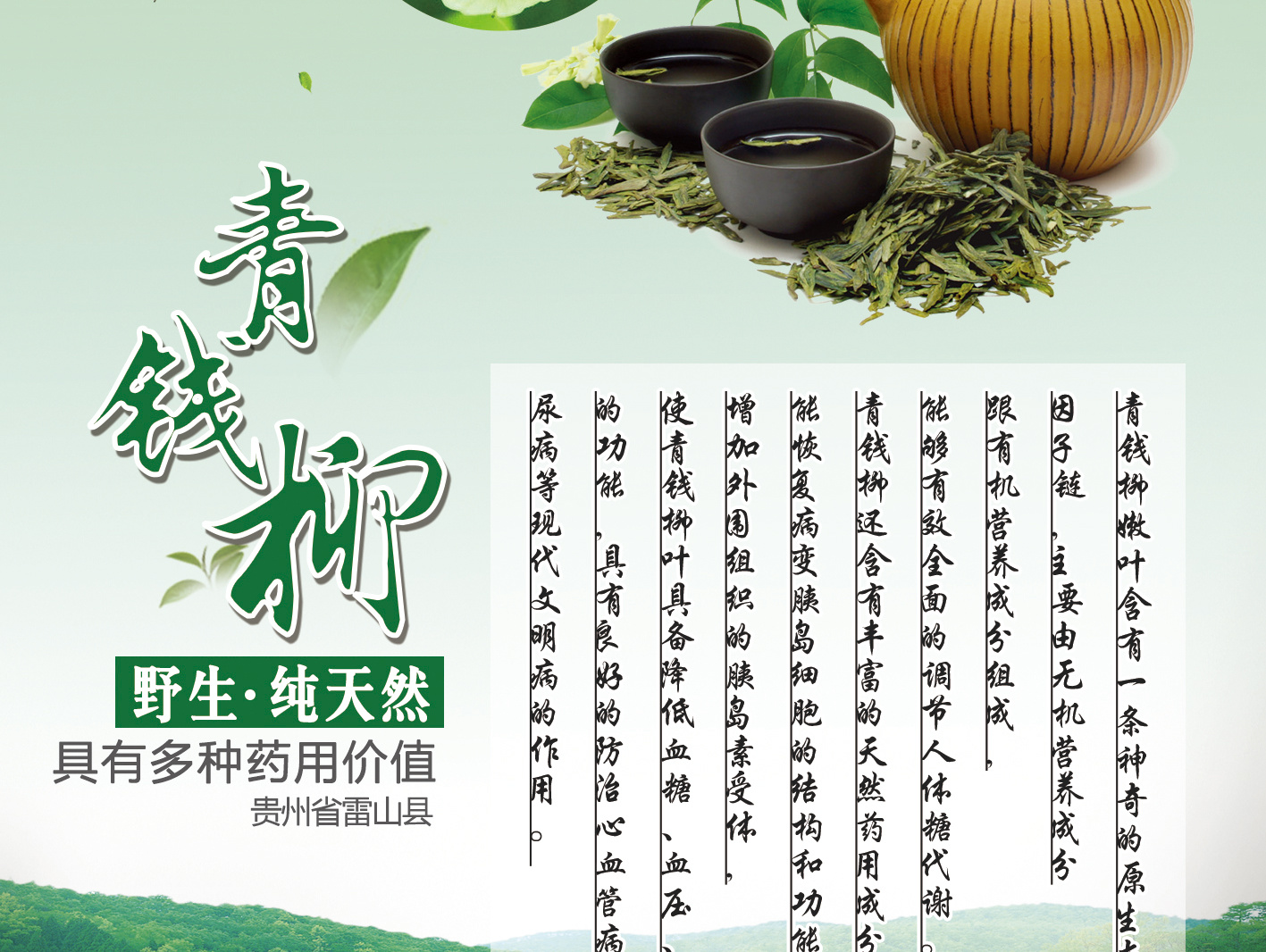 青钱柳茶海报图片