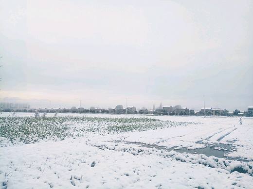 年年雪里（個人主頁-ZMzMzNDI3MzY=） - 風光攝影 - 站酷設計師素墨晴嵐原創(chuàng)素材 - 站酷ZCOOL