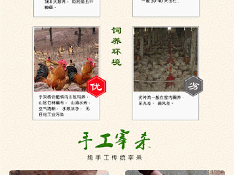 土公鸡详情页