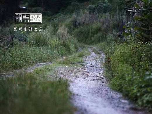 在野（个人主页-ZMTc5MjIxODQ=） - 风光摄影 - 站酷设计师明素设计原创素材 - 站酷ZCOOL