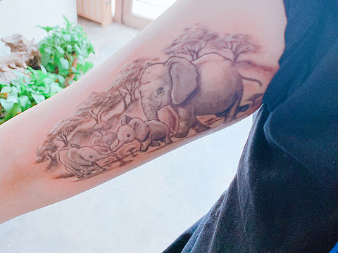 大象（个人主页-ZMzYxODE4Mjg=） - 其他手工艺 - 站酷设计师21KG原创素材 - 站酷ZCOOL