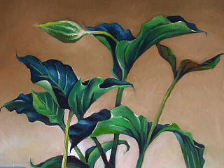 寶蓮燈（個(gè)人主頁(yè)-ZNTA0MzYyOA==） - 繪畫 - 站酷設(shè)計(jì)師esterwang原創(chuàng)素材 - 站酷ZCOOL