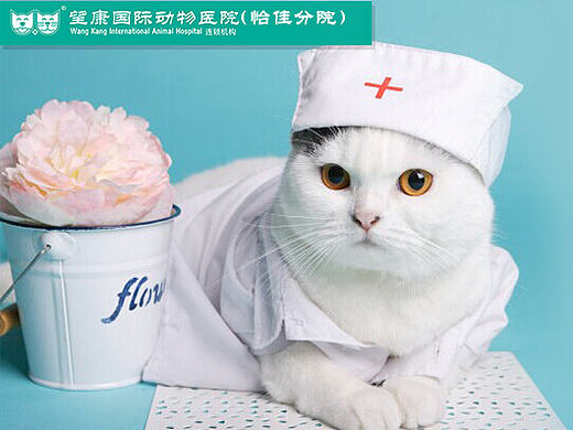 5月活动页面和banner图（个人主页-ZMTcwMDA3NDA=） - 电商 - 站酷设计师mayidefei原创素材 - 站酷ZCOOL