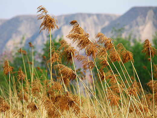【家鄉(xiāng)的小島】（個人主頁-ZMjEyNzUxNjQ=） - 風(fēng)光攝影 - 站酷設(shè)計師459365281原創(chuàng)素材 - 站酷ZCOOL