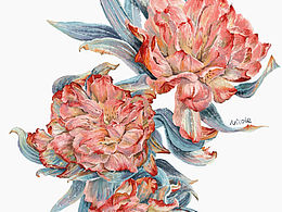 花花草草