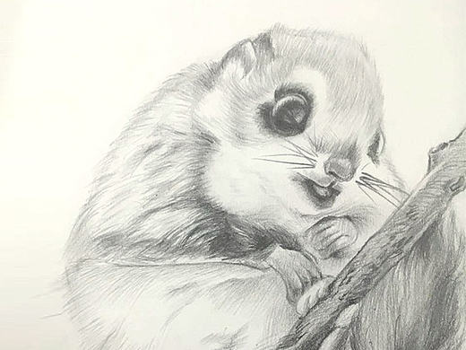 练习（个人主页-ZMTY5NjA0NDQ=） - 创作习作 - 站酷设计师葫小喵原创素材 - 站酷ZCOOL