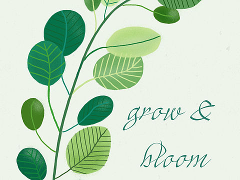 插画练习小植物打卡Day1