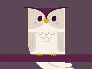 貓頭鷹（個(gè)人主頁-ZMjEzMjgzNjQ=） - 圖案 - 站酷設(shè)計(jì)師stedenghui原創(chuàng)素材 - 站酷ZCOOL