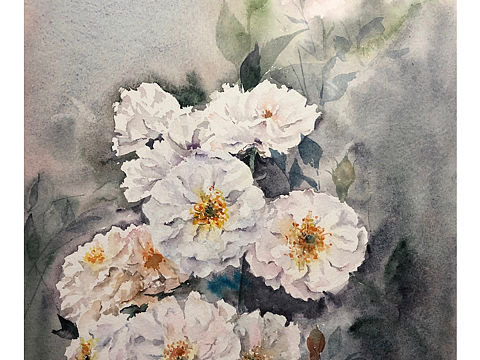 狸奴的水彩—蔷薇