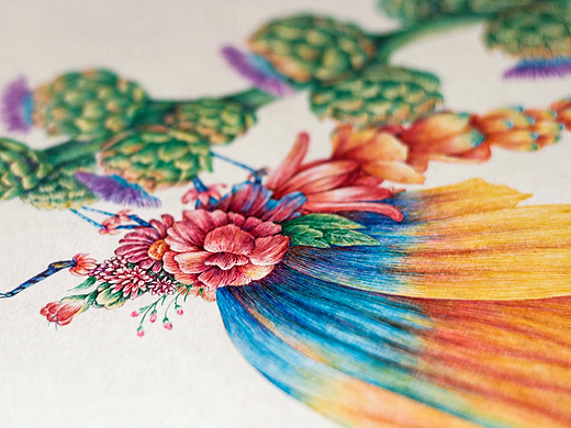 舒展《昆虫记—蜉蝣》