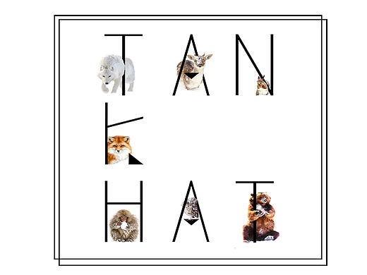 叢林（個(gè)人主頁-ZMTU3OTI5NDg=） - 創(chuàng)作習(xí)作 - 站酷設(shè)計(jì)師冰棍兒RUI原創(chuàng)素材 - 站酷ZCOOL