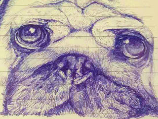 油笔画~八哥犬~