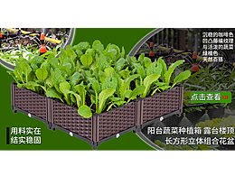 网站设计