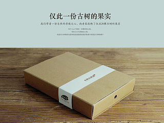 “原品·树”