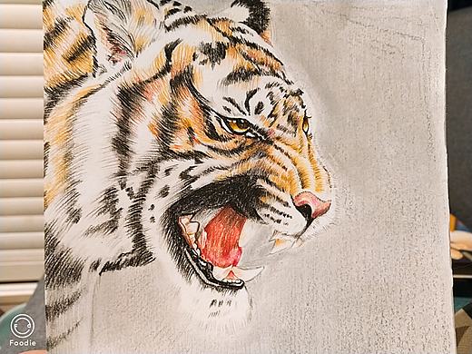 手绘作品-花鸟动物