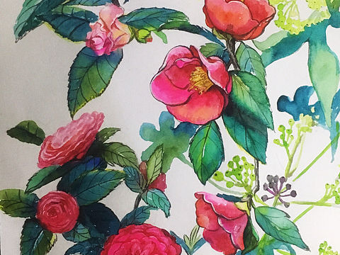 山茶花