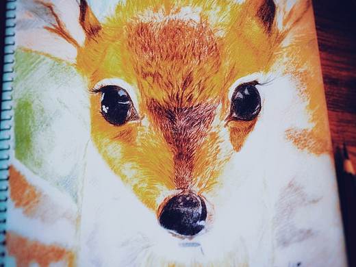 萬物有靈（個人主頁-ZMzM5MjA3NTI=） - 創(chuàng)作習(xí)作 - 站酷設(shè)計師balhin原創(chuàng)素材 - 站酷ZCOOL