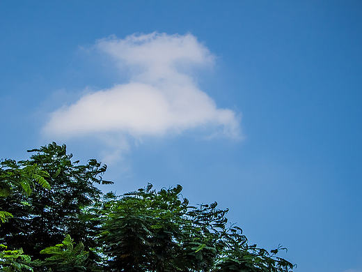 2016-09-18深圳羊台山