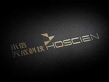 禾信天成科技（天津）有限公司logo设计提案