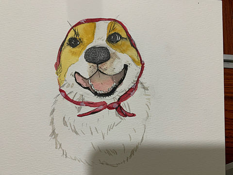 随手家宠画，哦耶ai