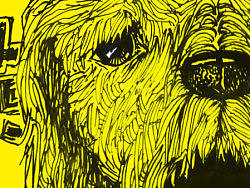 热 夏天（个人主页-ZMjI5OTczNg==） - 新锐潮流插画 - 站酷设计师pangaoshou原创素材 - 站酷ZCOOL