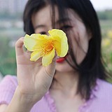 meizi_hsm的头像