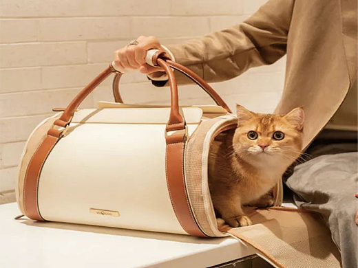 蔚刻系列产品——猫包
