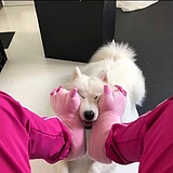 不是秃秃的头像