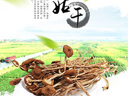 野生菌