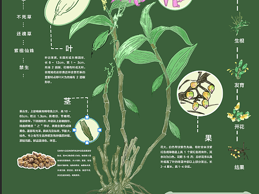 信息可视化设计