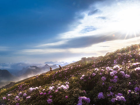 童話世界（個(gè)人主頁-ZMTc0MDM1MDQ=） - 風(fēng)光攝影 - 站酷設(shè)計(jì)師kikyouooo原創(chuàng)素材 - 站酷ZCOOL