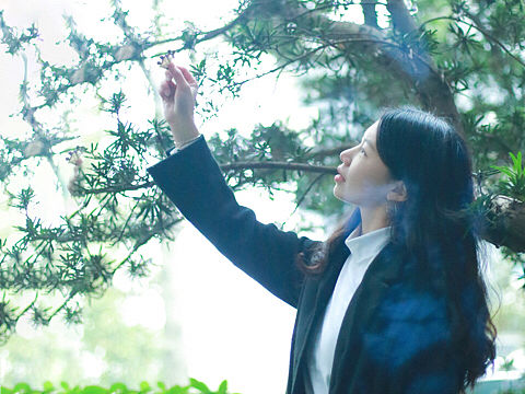 女皇姐姐/西米粒