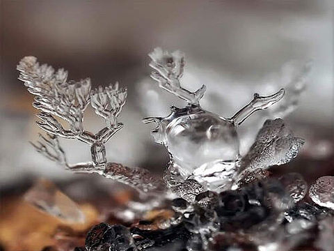 “大自然的艺术·雪花…”