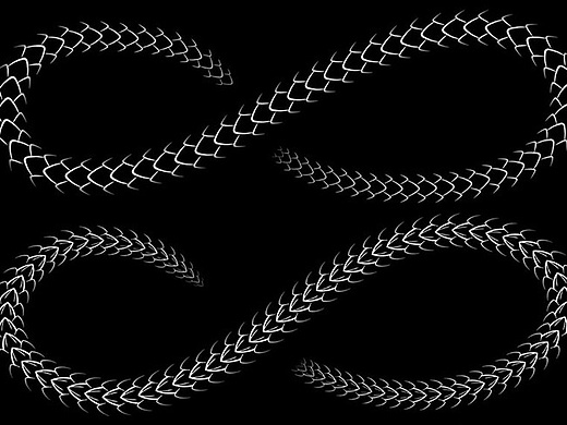 蛇皮纹理ps笔刷下载