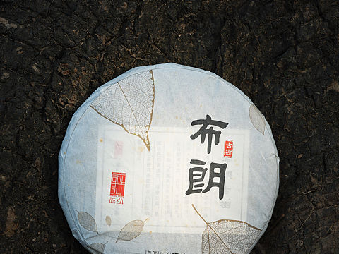 普洱茶 户外拍摄