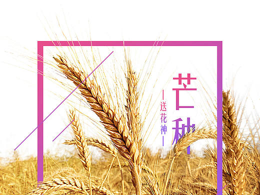 节气小图