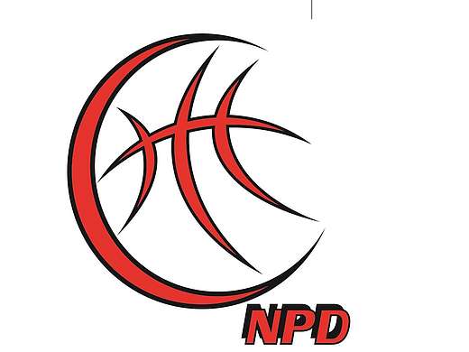 长沙NPD篮球俱乐部企业形象规划手册