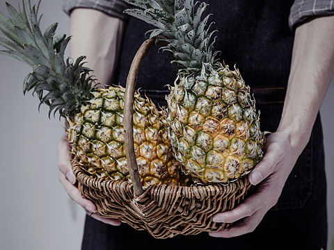 菠萝🍍